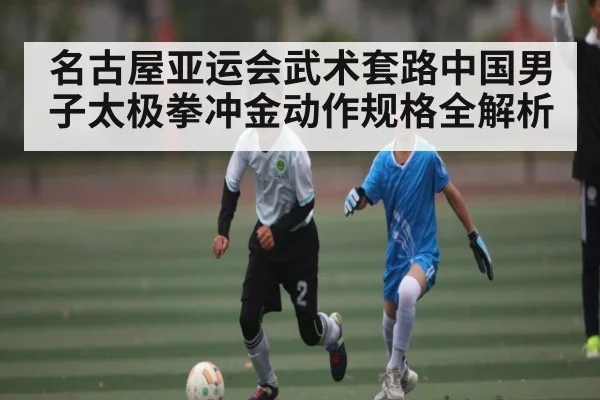 名古屋亚运会武术套路中国男子太极拳冲金动作规格全解析 | kaiyun